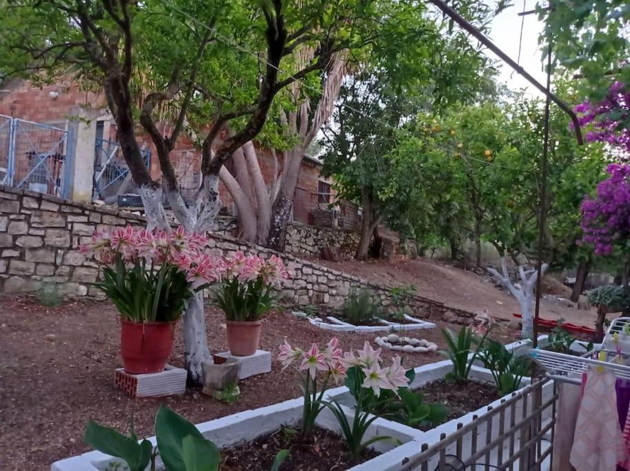 Villa Lidi Stavros  Exterior foto