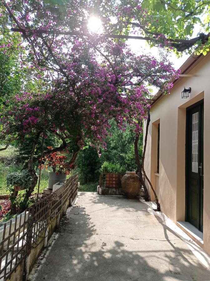 Villa Lidi Stavros  Exterior foto