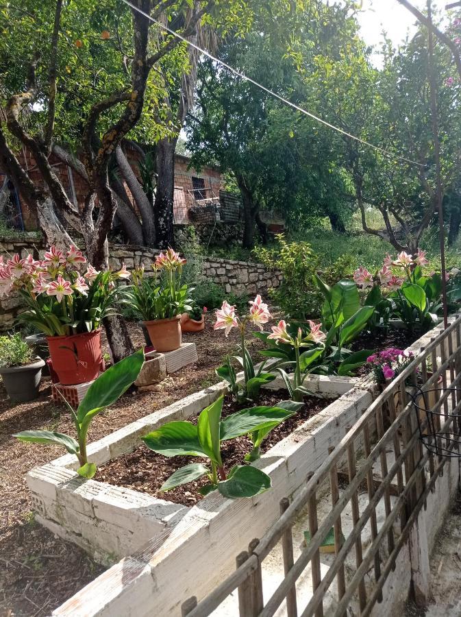 Villa Lidi Stavros  Exterior foto